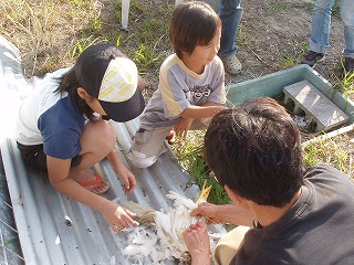 e0071811_1612037.jpg