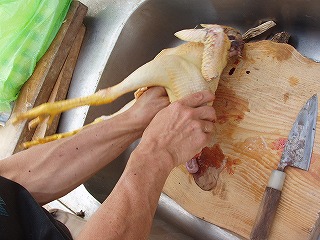 e0071811_161327.jpg