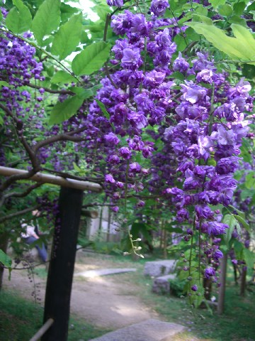 d0007913_1291630.jpg