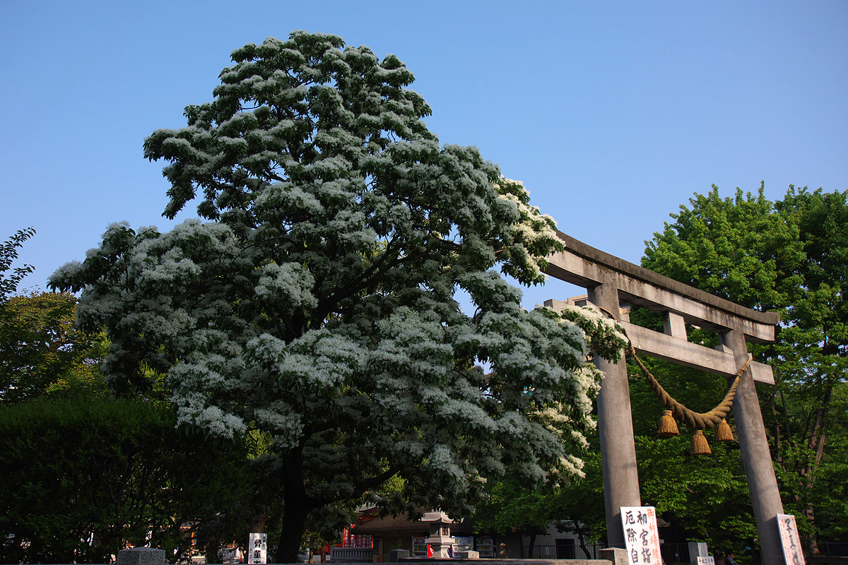 c0115616_1815492.jpg