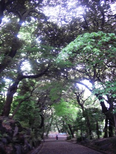 c0019617_18591229.jpg