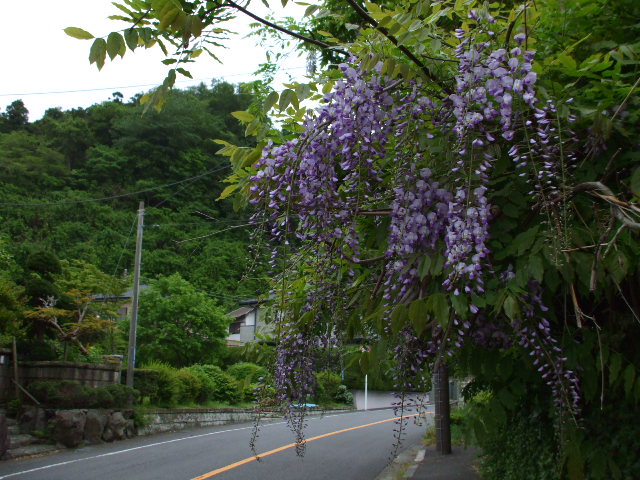 b0096418_20392414.jpg