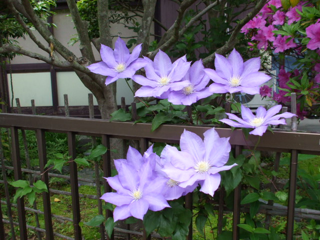 b0096418_2039820.jpg