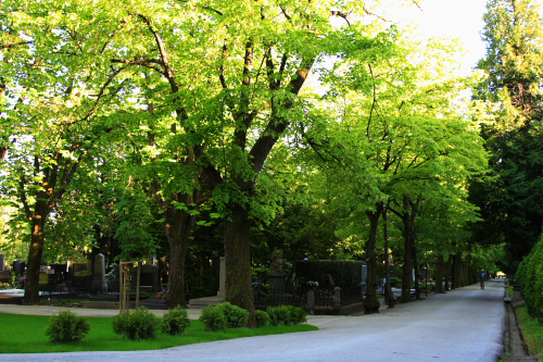 f0039021_7281326.jpg