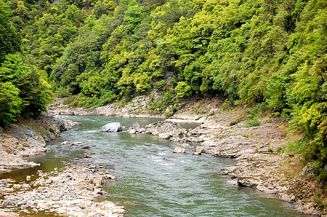 d0083623_18595472.jpg
