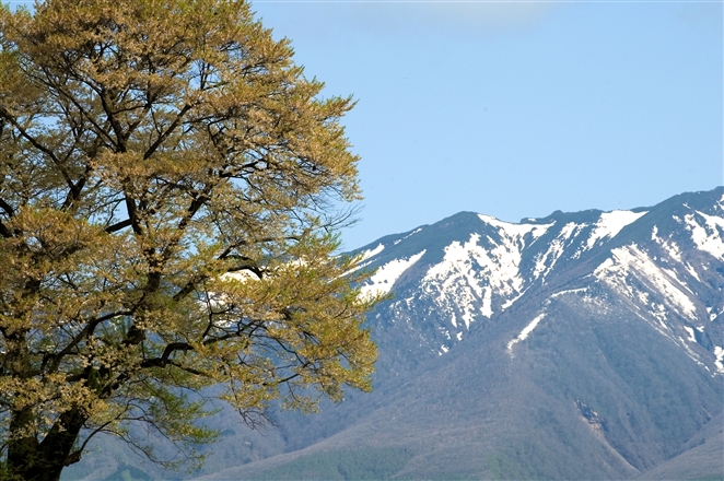 f0040525_9524166.jpg