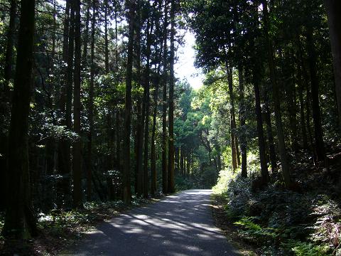 b0138430_20134521.jpg