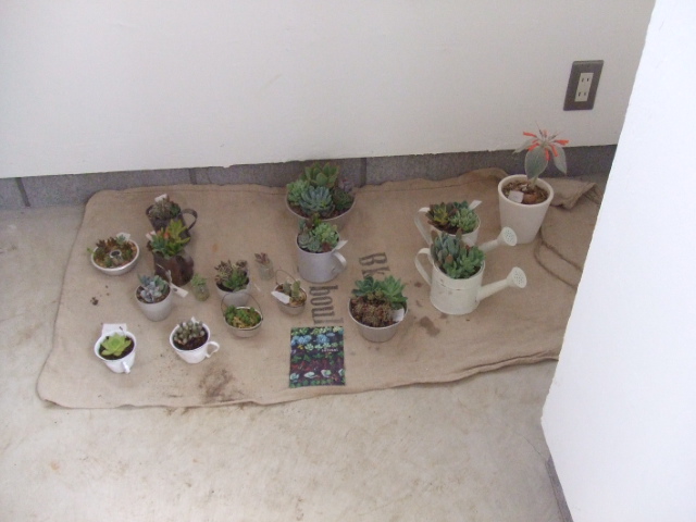 c0110930_23425347.jpg