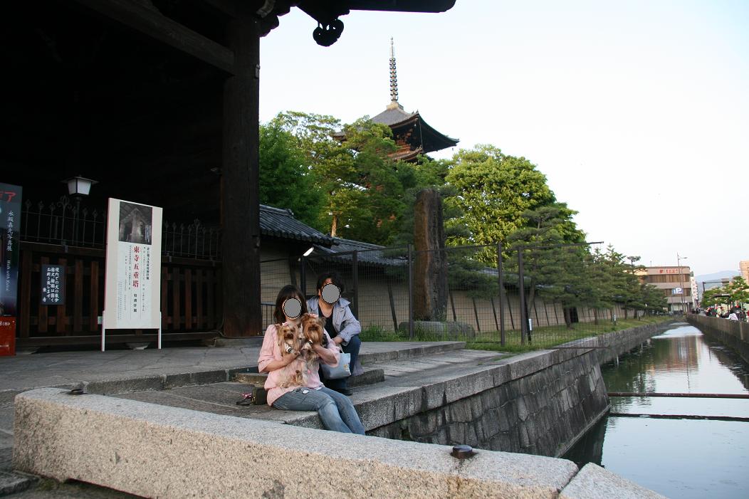 f0124830_1413827.jpg