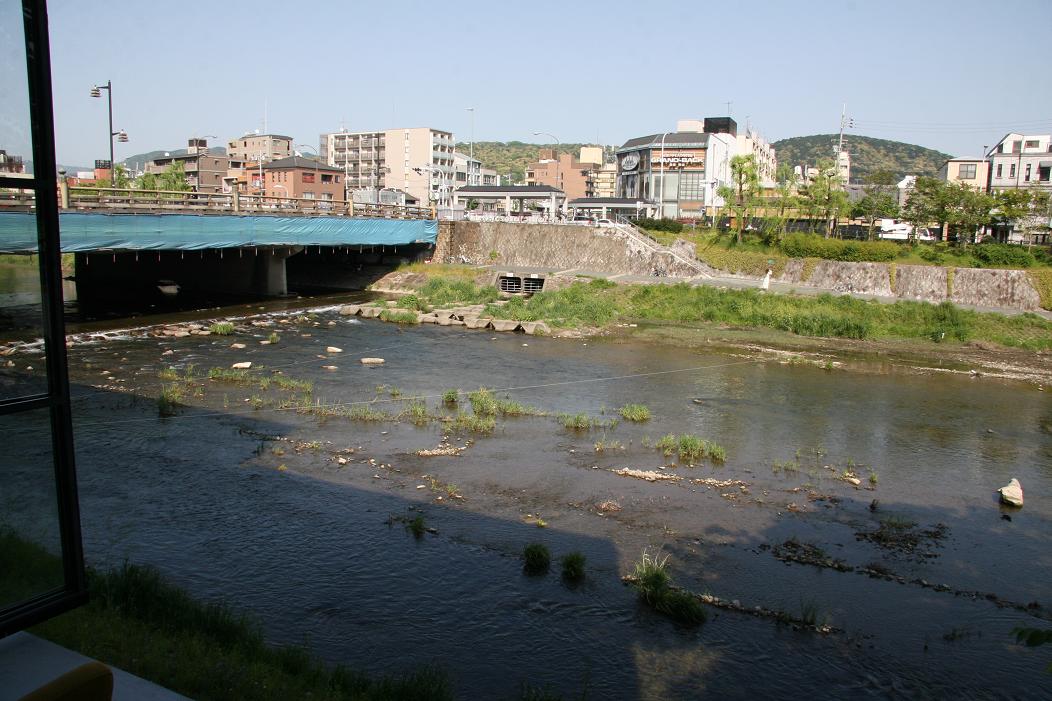 f0124830_1555100.jpg