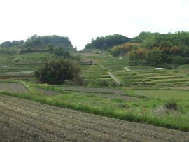 f0149731_23481138.jpg