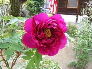 a0055835_13581779.jpg
