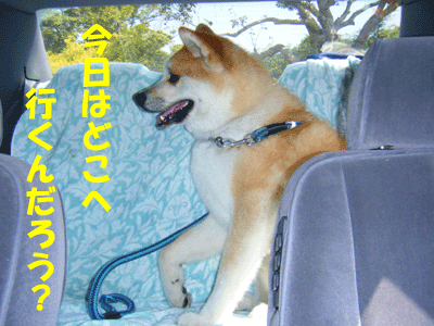 f0008935_2348752.gif