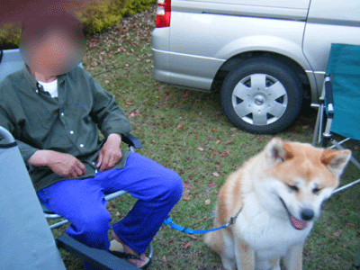 f0008935_23543010.gif