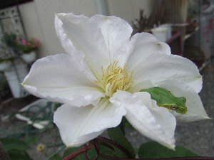a0054240_2204981.jpg