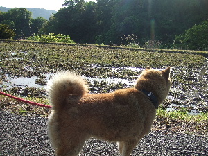 a0054240_22281566.jpg