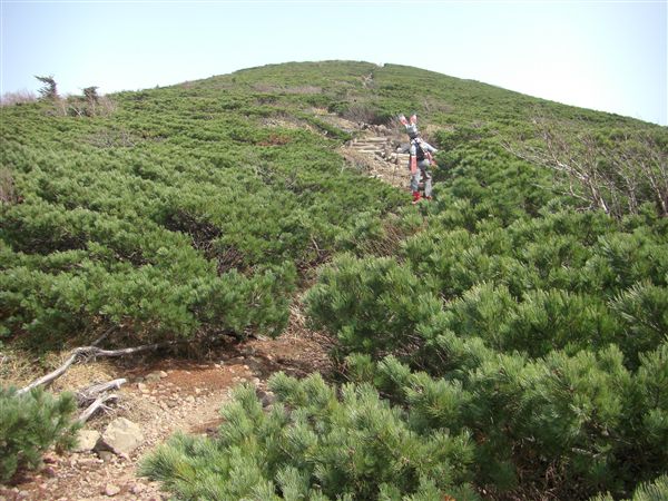 c0081645_2356177.jpg