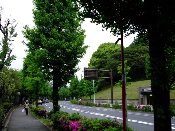 d0023346_11253689.jpg