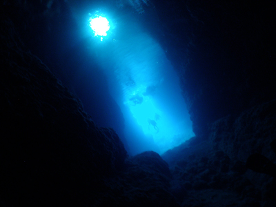 d0065247_2219438.jpg