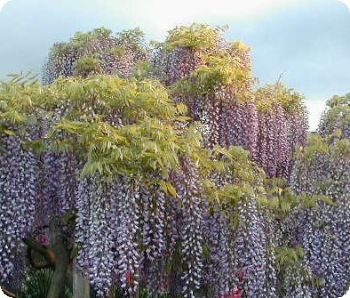 f0096147_18115136.jpg