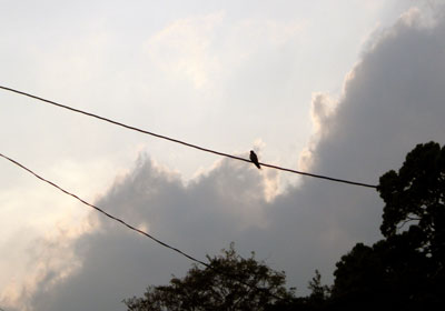 a0087649_1145016.jpg