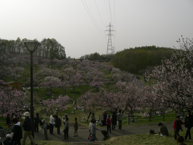 b0049549_18251987.jpg