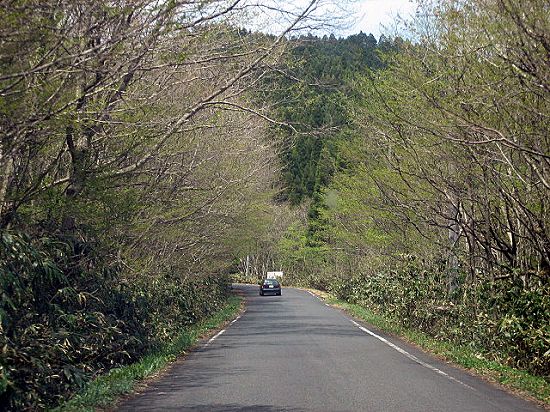 d0031853_3164045.jpg
