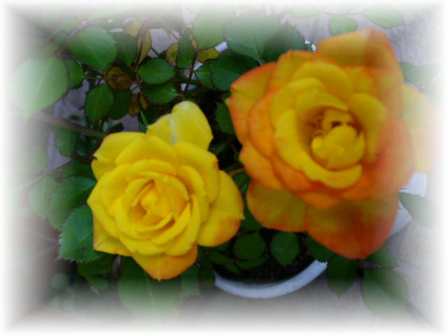 f0074659_21465117.jpg