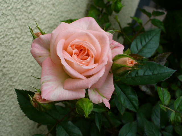 f0074659_2155151.jpg