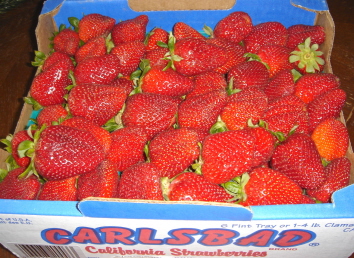 d0131460_15485256.jpg