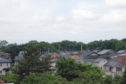b0134364_1124330.jpg