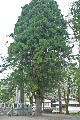 e0006964_13215961.jpg