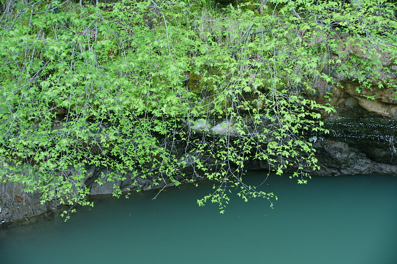 e0006964_13304432.jpg