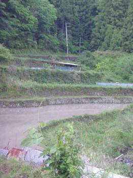 f0055264_20362718.jpg