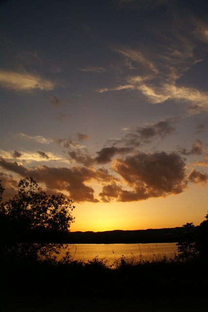 a0091666_23101981.jpg