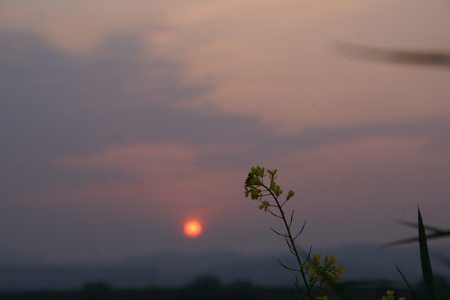 a0091666_2315366.jpg