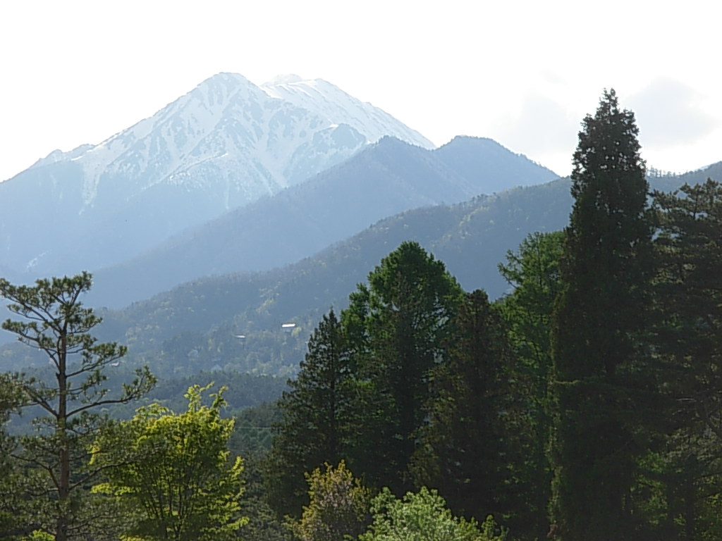 d0048366_6151130.jpg
