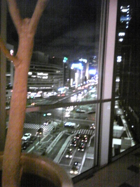 d0084767_20521055.jpg