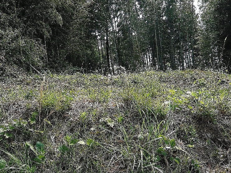 f0037467_13201855.jpg