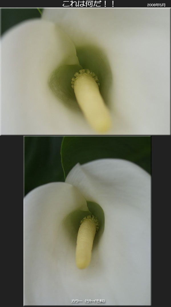 f0104569_995360.jpg