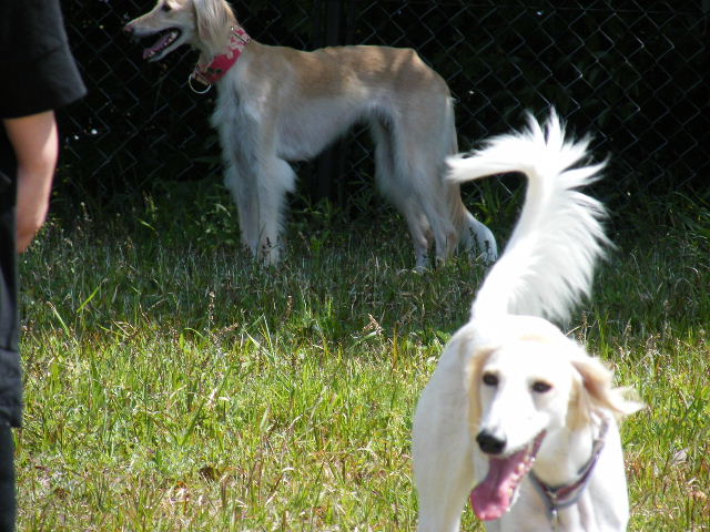 e0003270_13113865.jpg