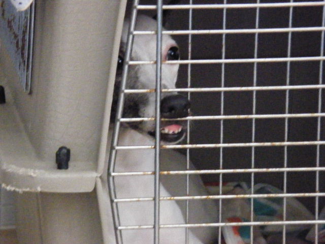 e0003270_13185931.jpg