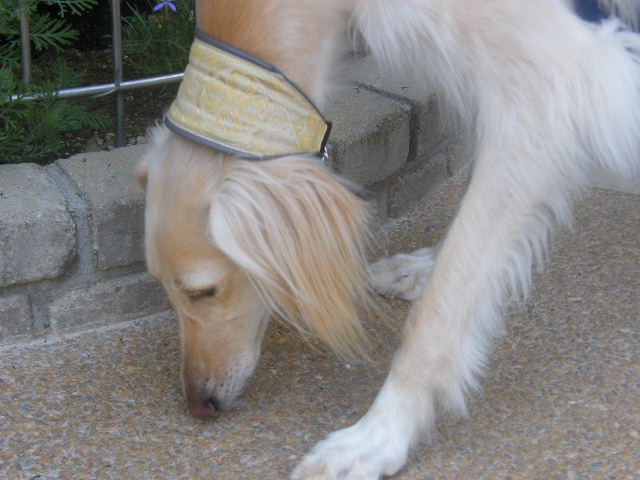 e0003270_13202364.jpg