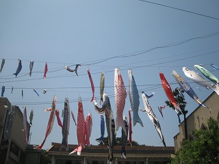 e0137672_22201330.jpg