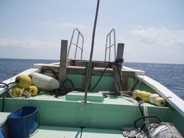 e0113675_8242150.jpg