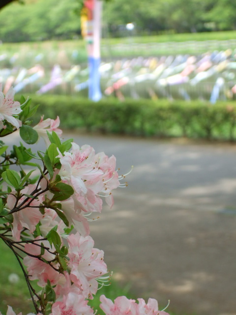 a0094280_9383587.jpg