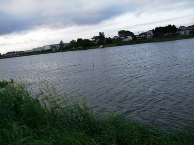 c0078480_17274759.jpg