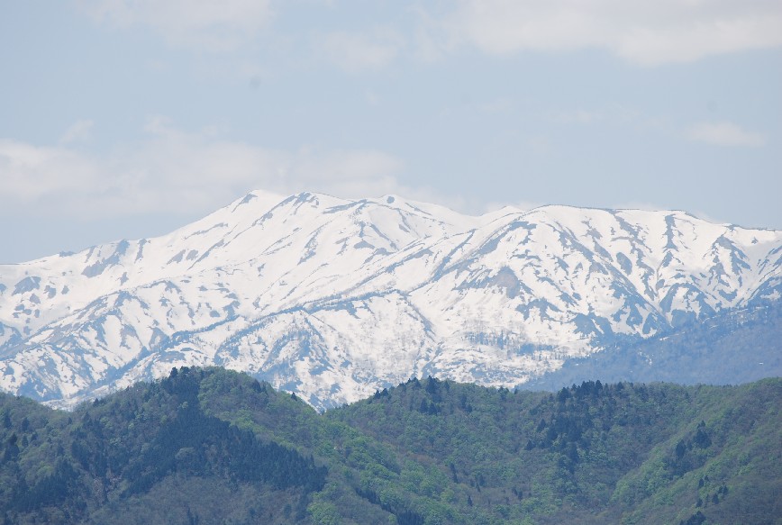 b0074782_21545735.jpg