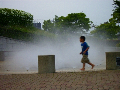 d0120382_12451584.jpg