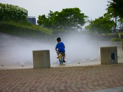 d0120382_12454854.jpg